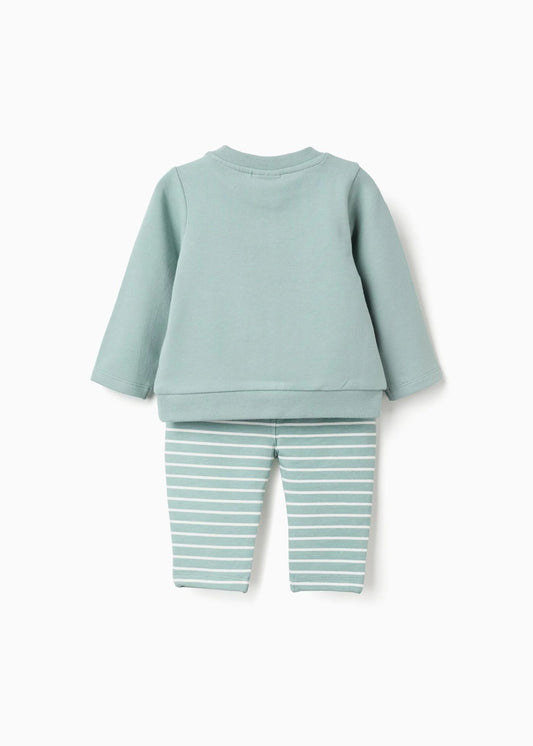 Sweat com estampado do Tigre + calças para recém-nascido, verde-claro