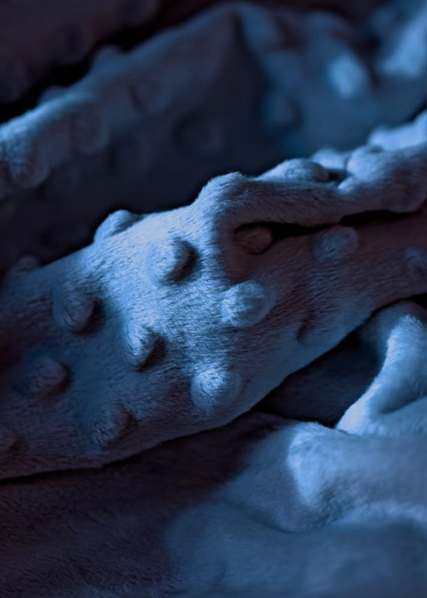 Pack Manta e Doudou Azul Marinho