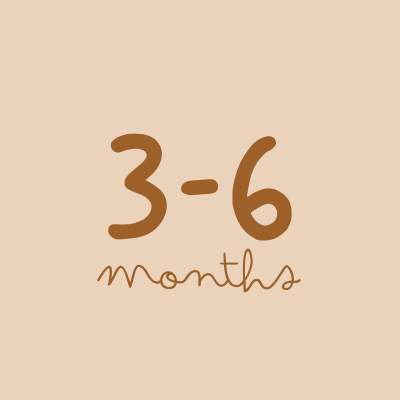 3-6 Meses