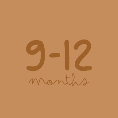 9-12 Meses
