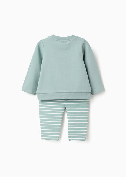 Sweat com estampado do Tigre + calças para recém-nascido, verde-claro